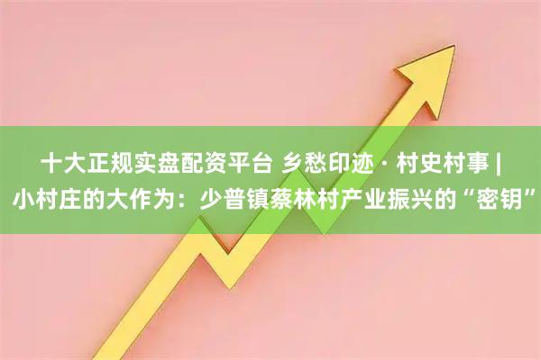 十大正规实盘配资平台 乡愁印迹 · 村史村事 | 小村庄的大作为：少普镇蔡林村产业振兴的“密钥”