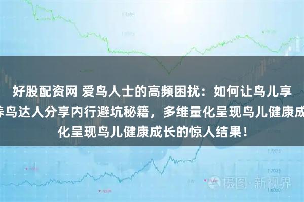 好股配资网 爱鸟人士的高频困扰：如何让鸟儿享受精致生活？养鸟达人分享内行避坑秘籍，多维量化呈现鸟儿健康成长的惊人结果！