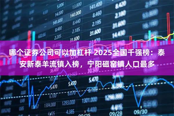 哪个证券公司可以加杠杆 2025全国千强榜：泰安新泰羊流镇入榜，宁阳磁窑镇人口最多